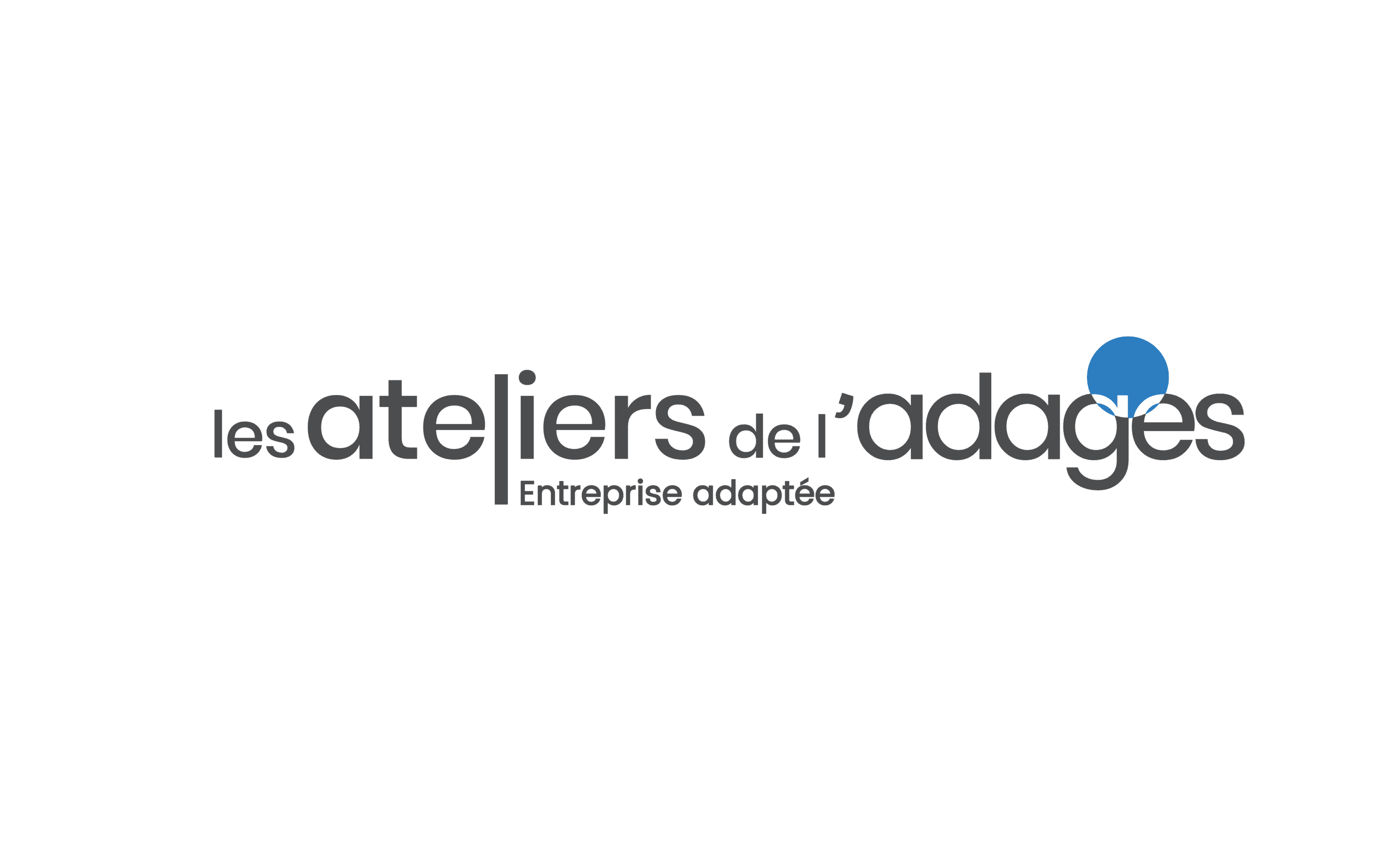 Entreprise adaptée