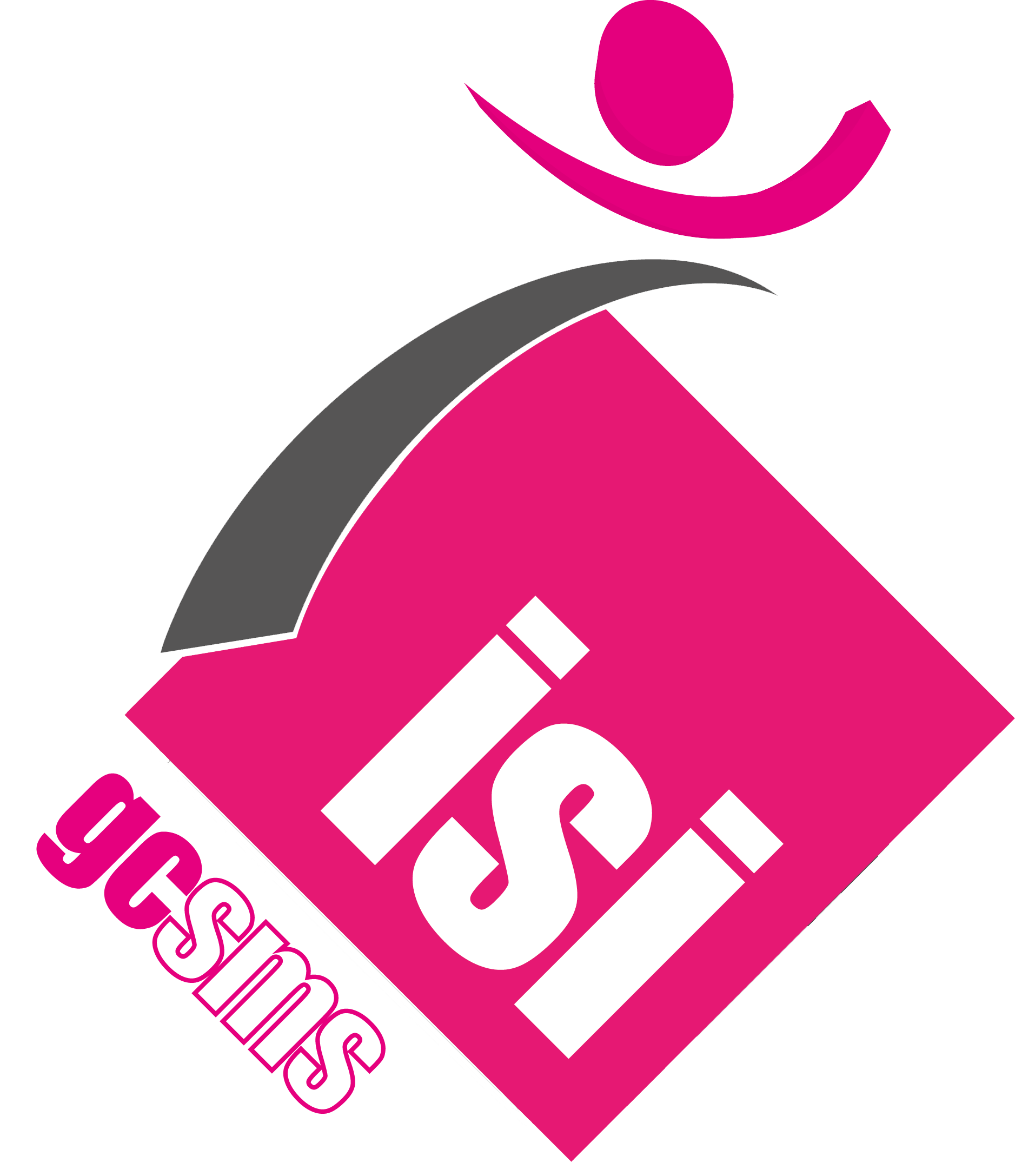 gcsms15-sans-ombre-Copie Entreprise adaptée