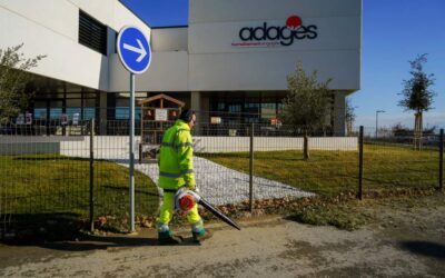 Transition de l’ESAT à l’Entreprise Adaptée – Ateliers ADAGES